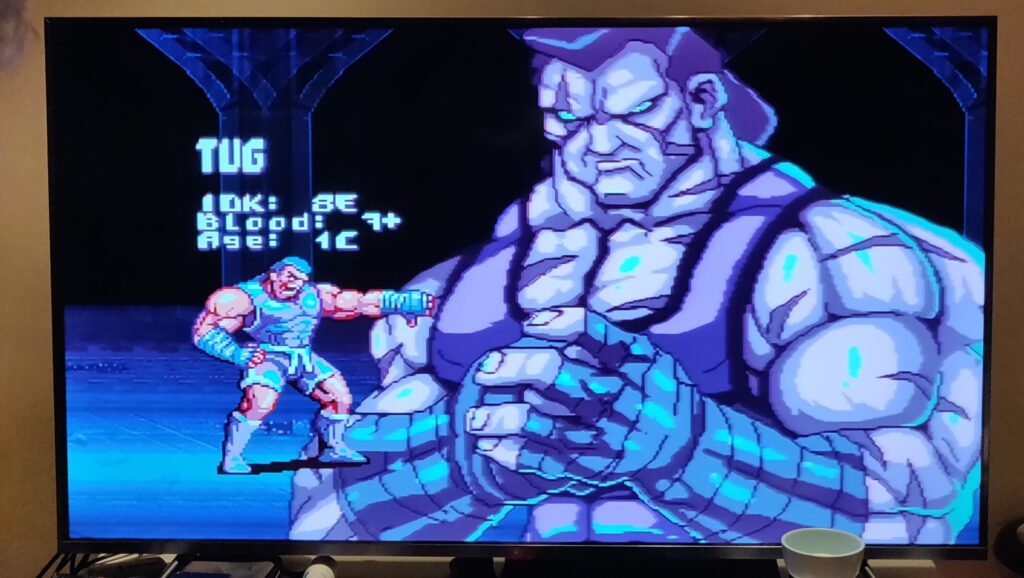 présentation d'un personnage du jeu paprium