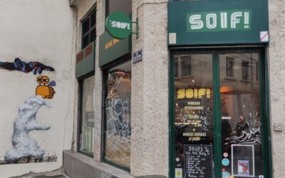 bro-love et néo-retro gaming